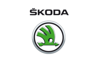 Skoda Fabia 2009 kaufen in Warschau, Preis auf Kredit, Auto Invest Europa