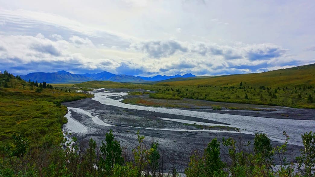 Ein vom Gletscher gespeister Fluss zwischen Anchorage und Denali hat sich ein breites Bett gebaut