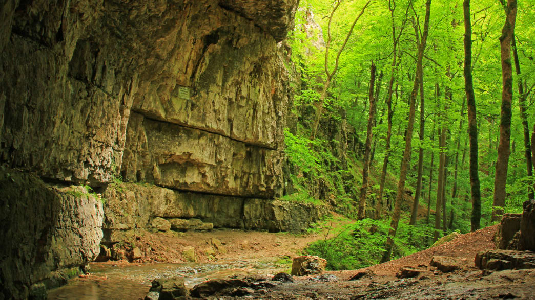 Ein großer Steinfelsen im Wald