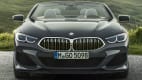 BMW M850i Cabrio xDrive Steptronic Sport (11/20 - 01/22) 1