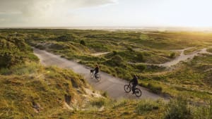 Fahrradfahrer auf Friesland