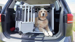 Ein Hund sitzt in einem gesicherten Käfig  im Kofferraum kurz vor dem Schliessen des Käfigs