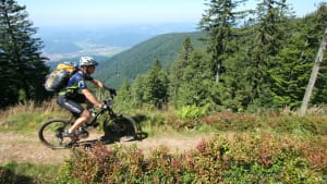 Fahrradfahrer bei Radtour im Schwarzwald