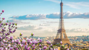 Paris und den Eiffelturm über die Blüten eines Mangnolienbaumes