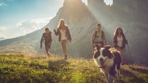 eine Gruppe junger Leute wandert mit ihrem Hund in den Bergen