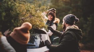 Freunde transportieren Weihnachtsbaum auf Autodach