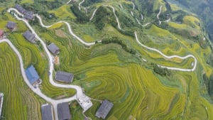 Luftaufnahme von einer Passstrasse, die durch Reisterrassen in Asien führt.