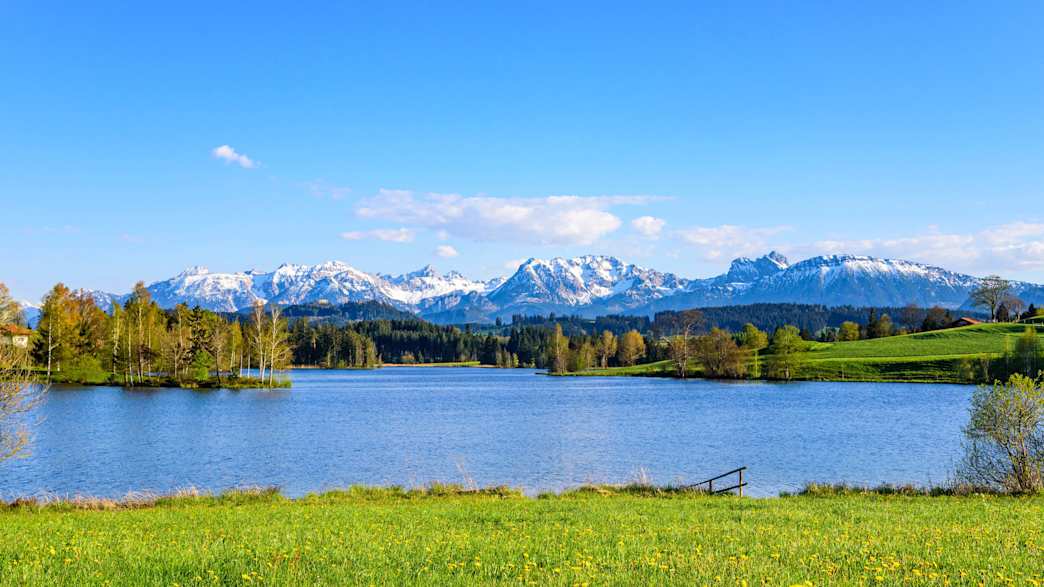 Schwaltenweiher bei Seeg/Rückholz: Kristallklares Wasser mit herrlichem Alpenblick