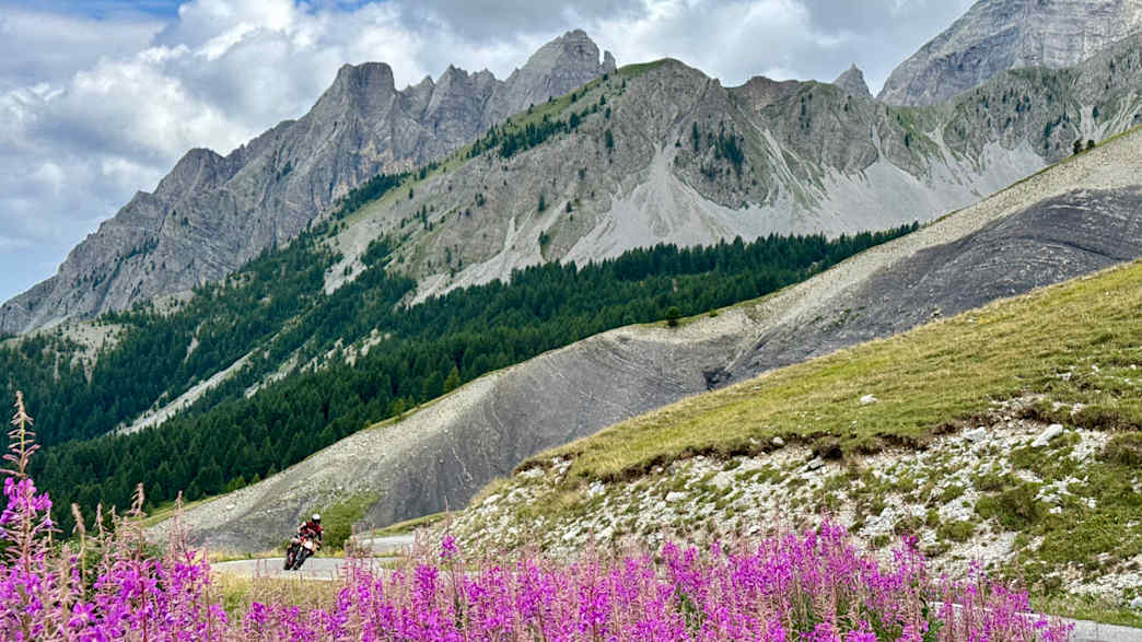 Blühende Almwiesen am Col de Champs, Motorradstrecke in den französischen Seealpen