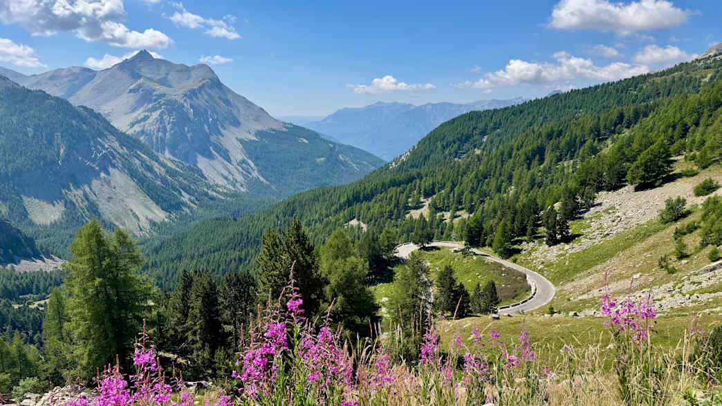 Panoramablick auf die Südseite des Col de la Cayolle in den Seealpen mit blühender Vegetation.