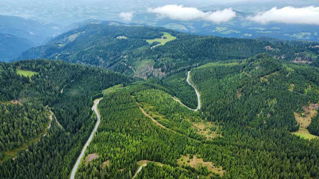 Grüne Berglandschaft an der Weinebene in Österreich.