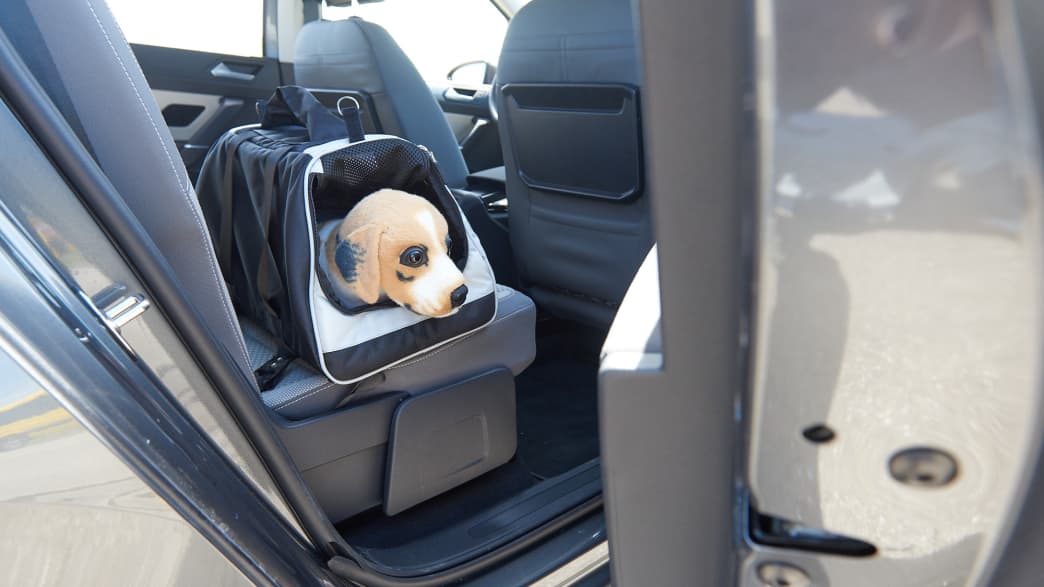 Hundedummy in einer Transportbox auf dem Rücksitz eines Autos