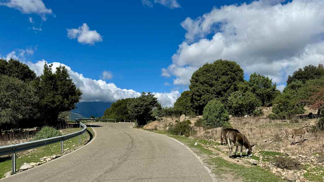 Tipps für Motorradtouren auf Sardinien von Magdalena Kosch