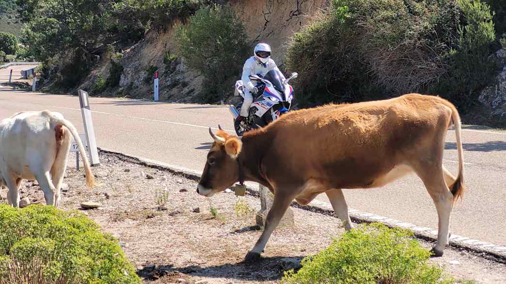 Tipps für Motorradtouren auf Sardinien von Magdalena Kosch