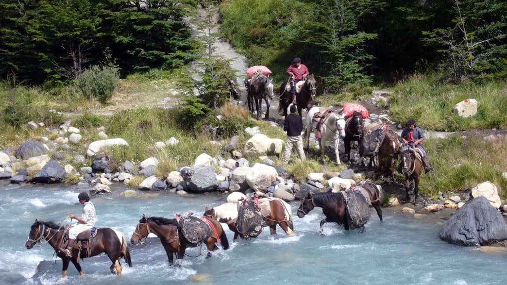Pferde überqueren einen Fluss in Chile