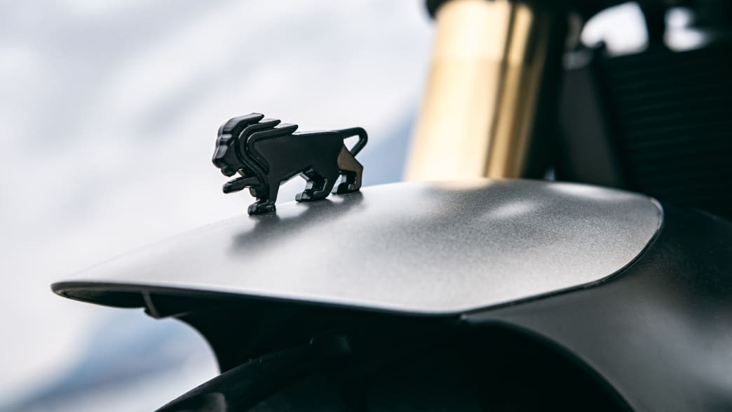 Detail der Löwenfigur auf der Benelli Leoncino 800