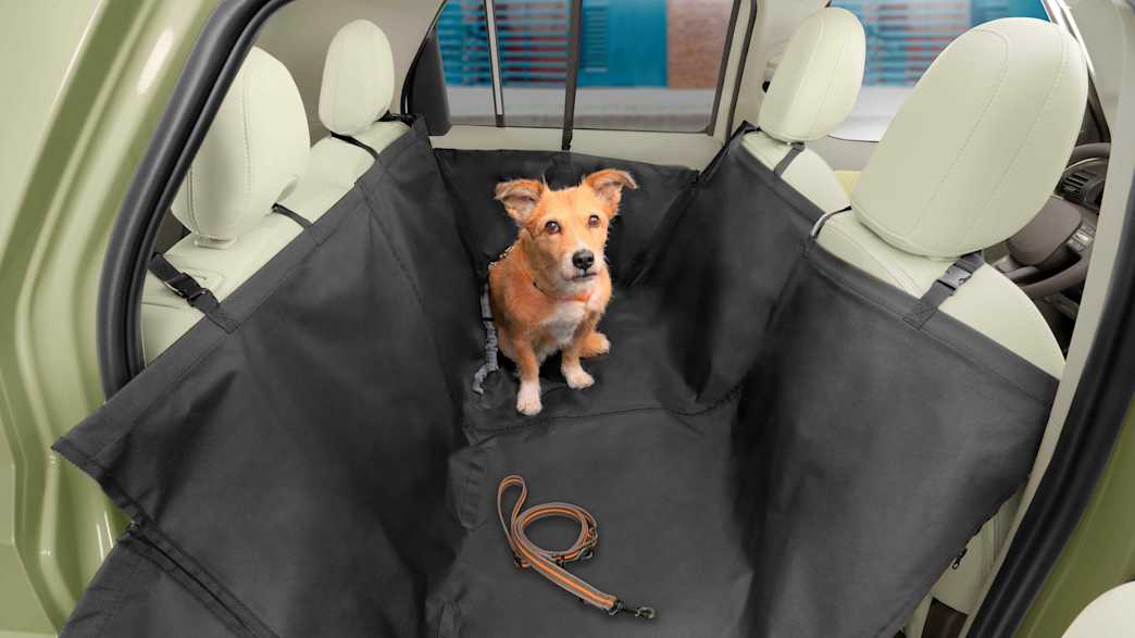 Ein Hund auf der Rückbank des Hyundai Inster
