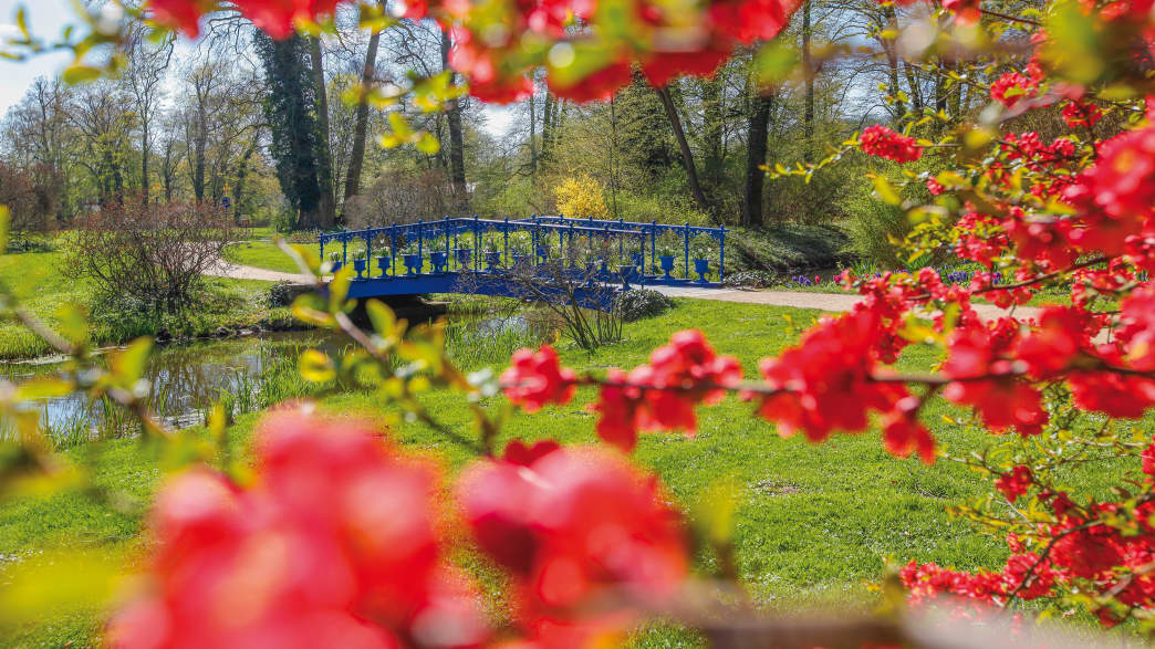 Fuchsienbrücke im Muskauer Park