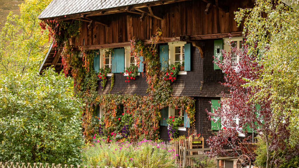 Bauernhaus in Menzenschwand