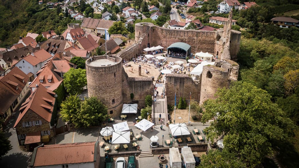 Blick auf die Burg Neuleiningen