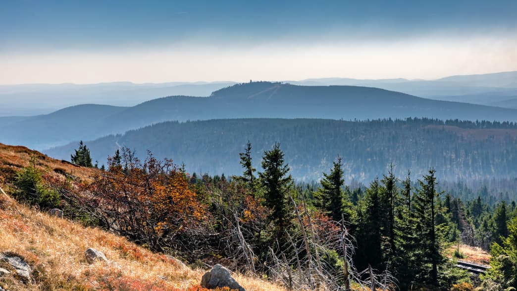 Blick auf den Brocken im Harz