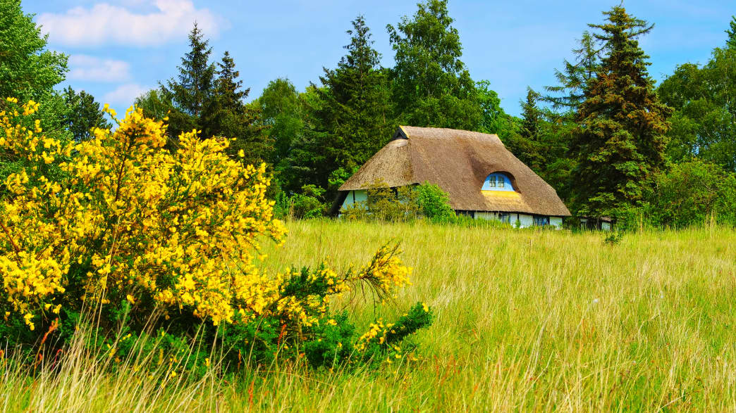 Ein typisches Haus mit Reetdach auf der Insel Ummanz an der Ostsee