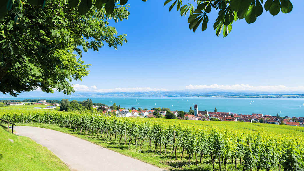Blick auf den Bodensee und die Alpen im Hintergrund