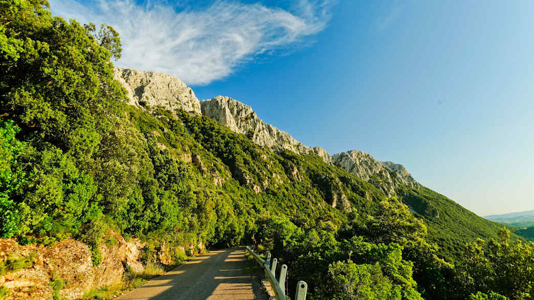Straße in Monte Albo auf Sardinien