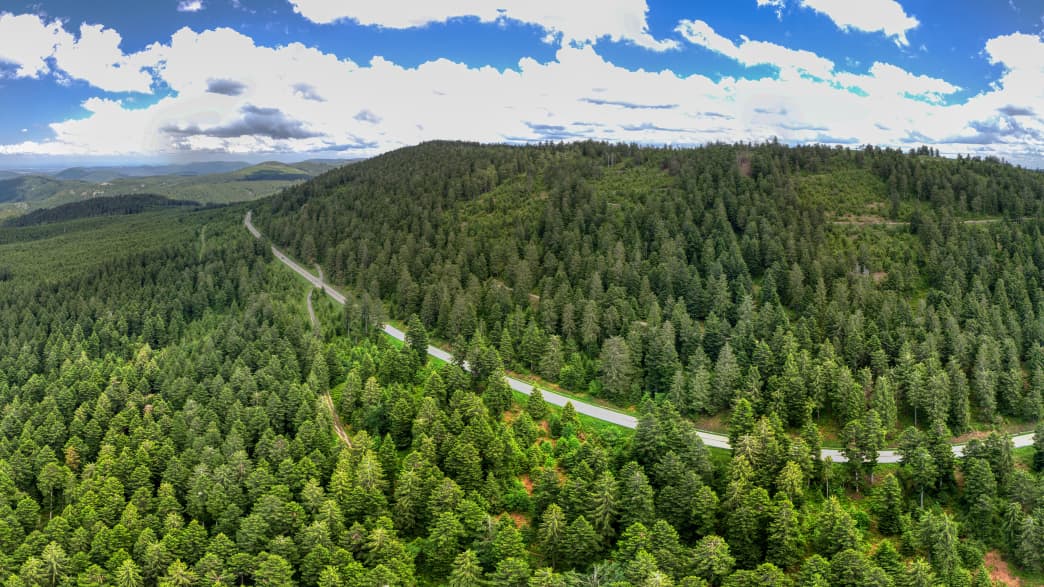 Blick auf die Schwarzwaldhochstraße