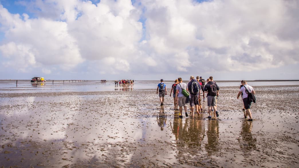 Eine Gruppe von Menschen bei einer Wattwanderung auf Amrum