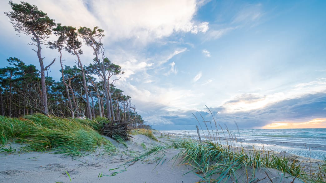 Weststrand Darß in Ahrenshoop