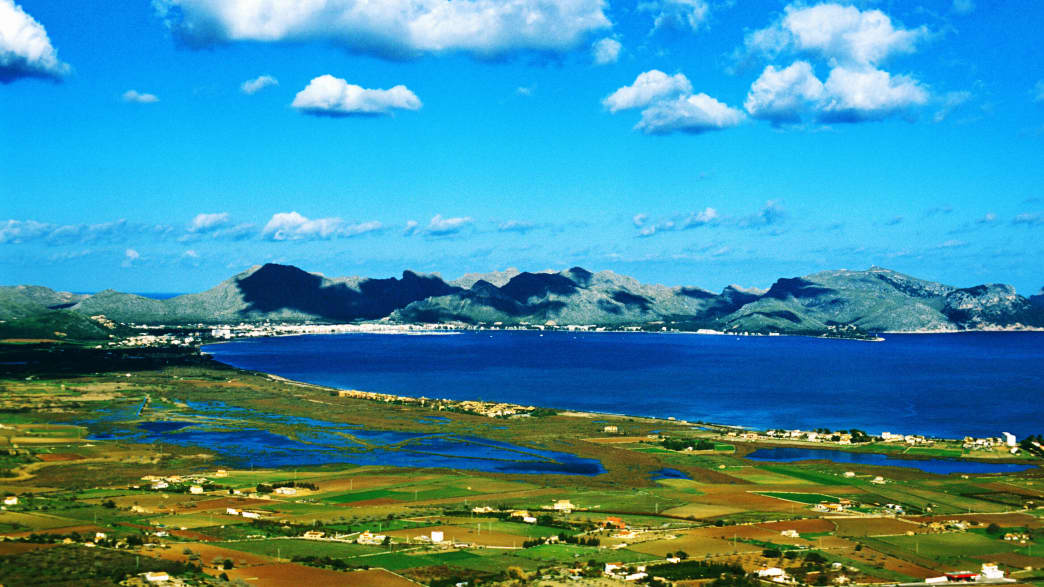 Blick über die Landschaft von SAlbufereta Natural Reserve. Pollensa auf Mallorca