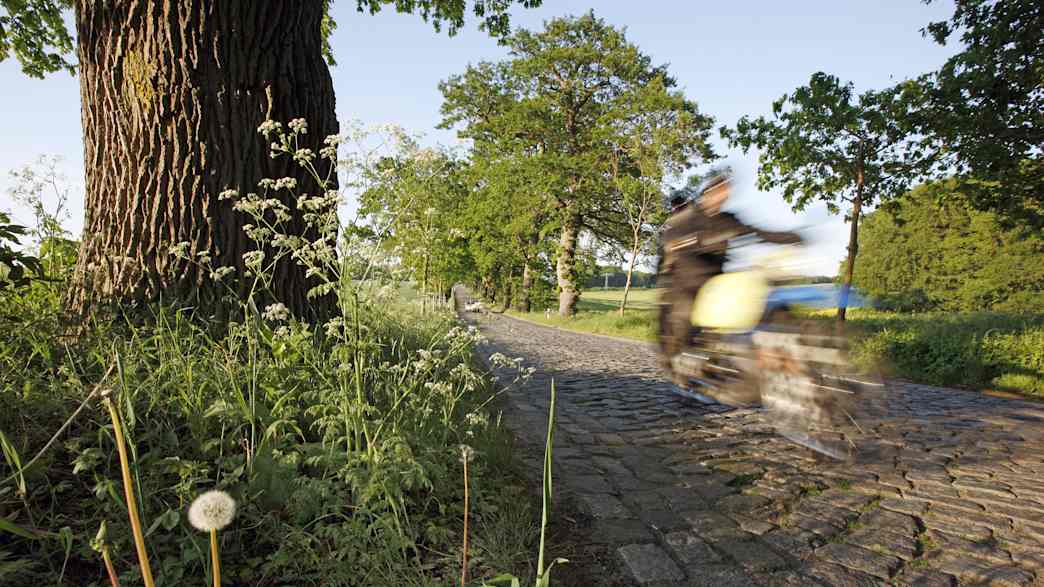 Ein Motorradfahrer fährt auf der deutschen Alleenstraße auf Rügen