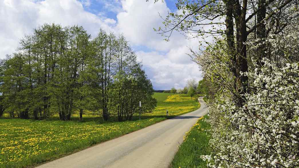 Eine Landschaft im Vogtland