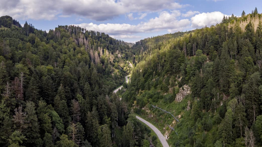 Blick ins Werhtal auf die Landstraße L-148