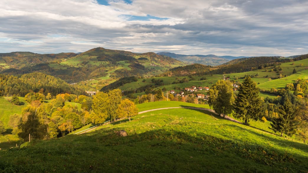 Blick ins Wiesenthal im Schwarzwald