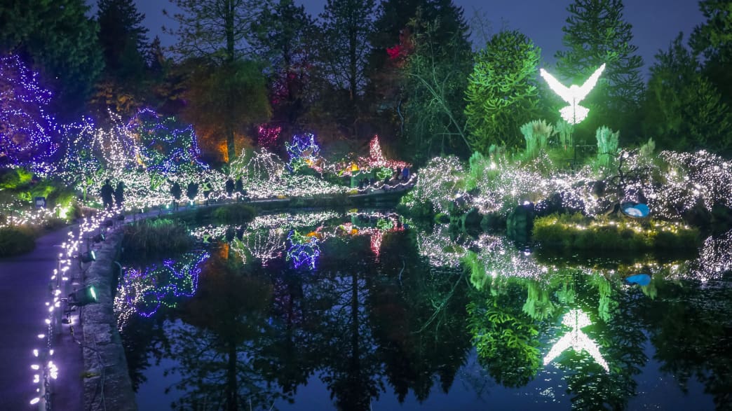 Weihnachtensbeleuchtung in Vancouver im Botanischen Garten