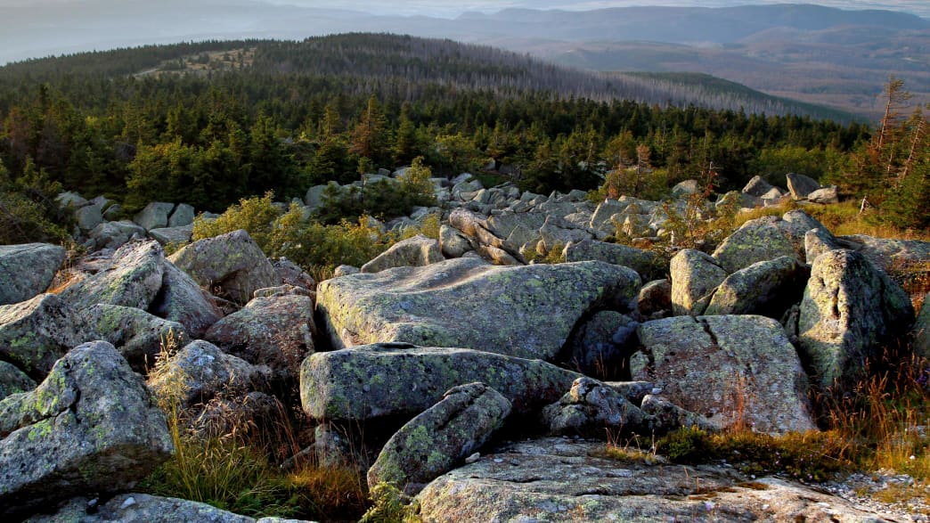 Felsen im Nationalpark Harz