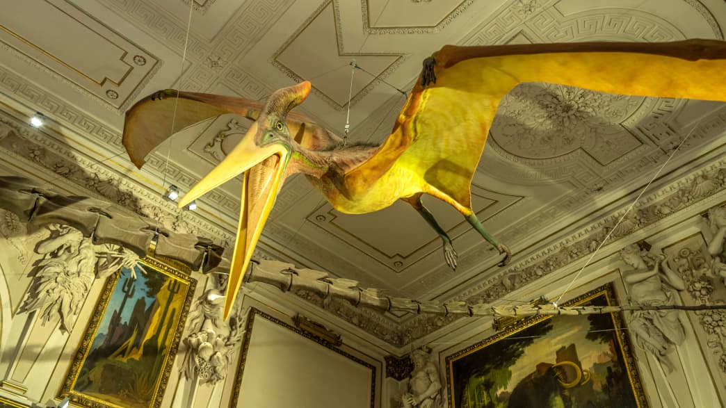 Flugsaurier im Sauriersaal des Naturhistorischen Museum in Wien