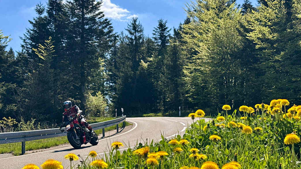 Ein Motorradfahrer auf einer Straße während der Motorrad Tour im Schwarzwald, Oppenau