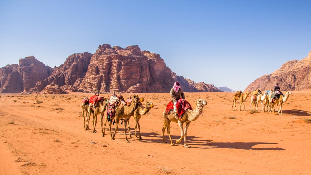 Kamelkaravane in Wadi Rum in Jordanien