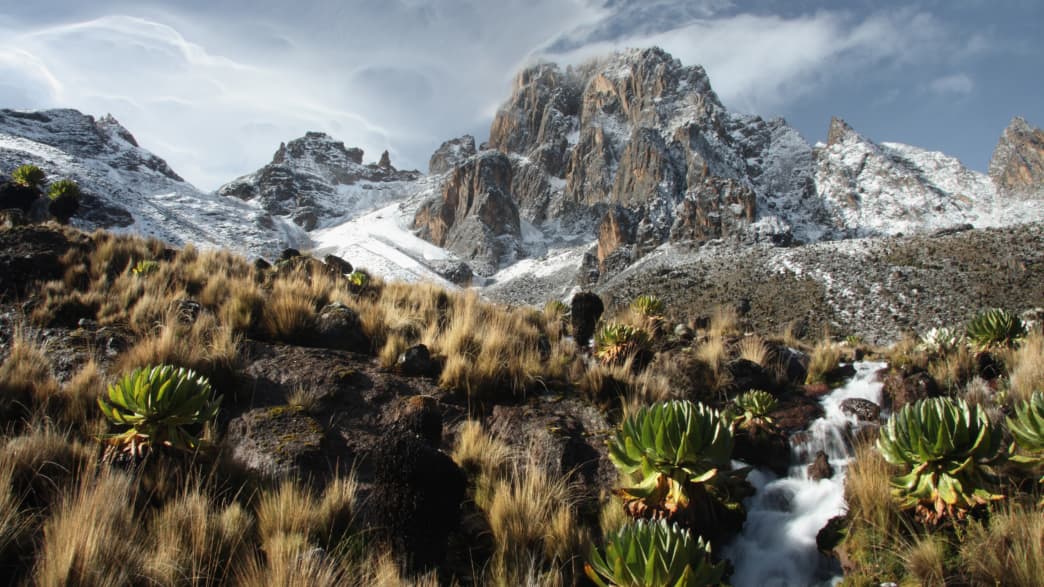 Blick auf den Mount Kenya in Kenia