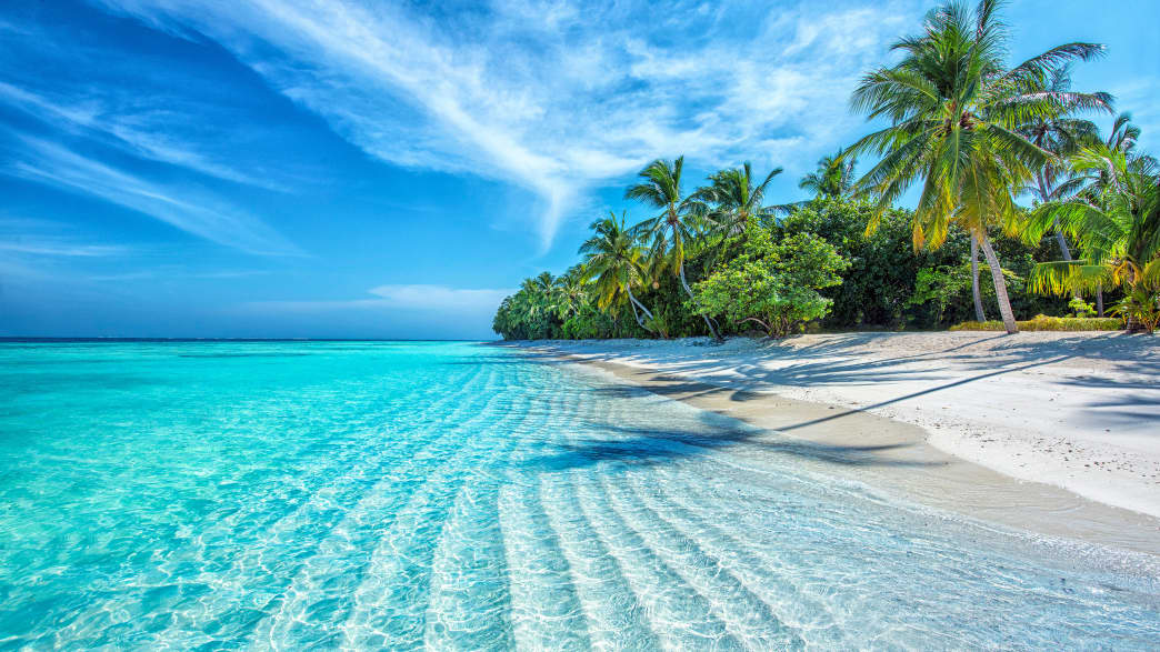 Blick auf einen Strand auf den Malediven