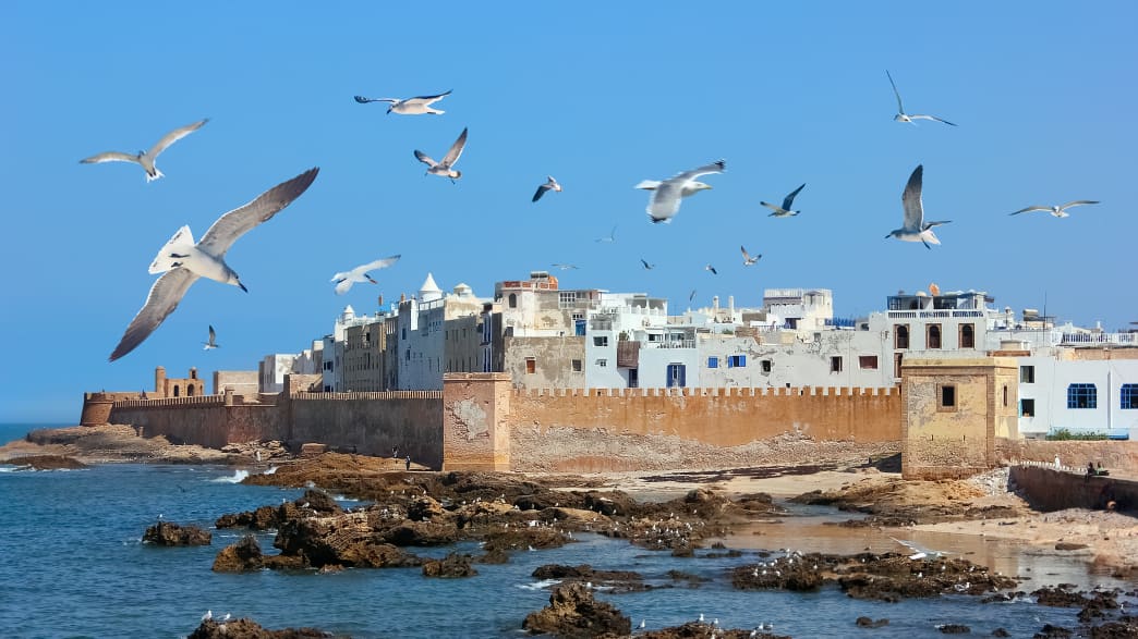Die Hafenstadt Essaouira am Atlantik in Marokko mit Küste und Möwen