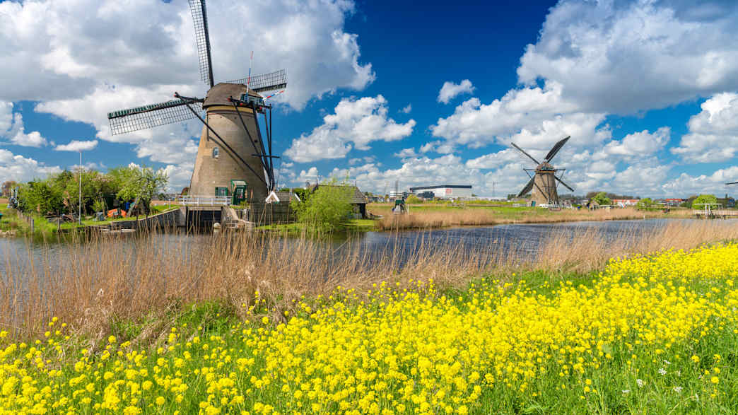 Südholland in den Niederlanden