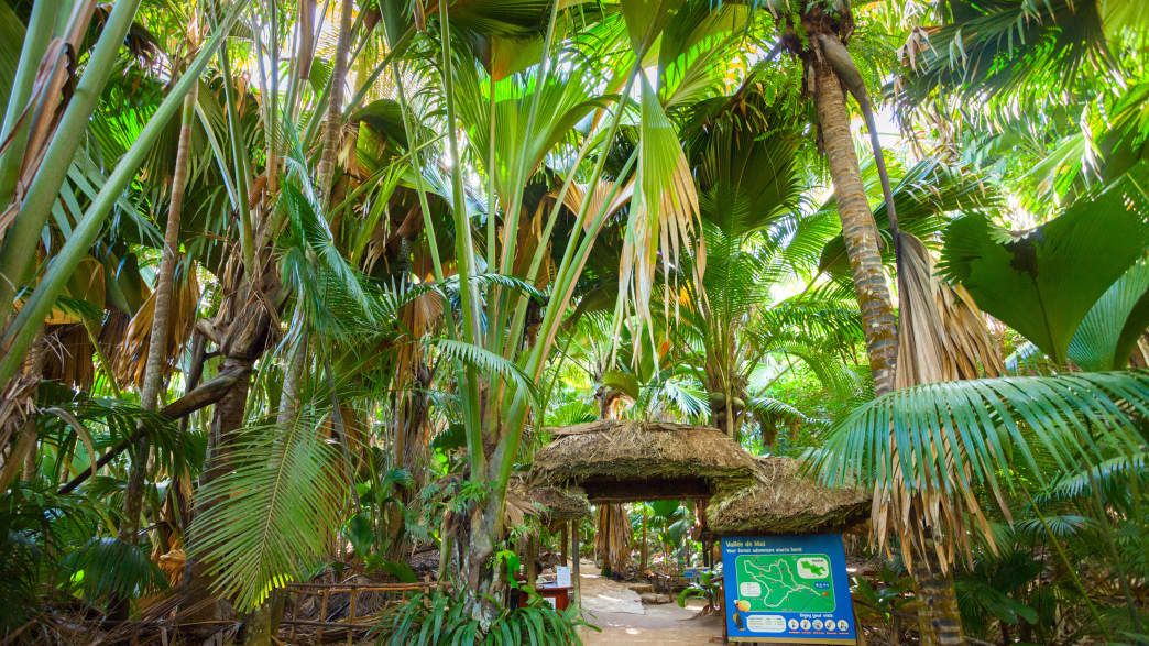 Eingang zum Nationalpark Vallee de Mai auf den Seychellen