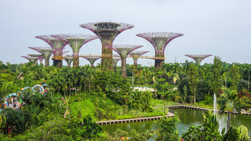Botanischer Garten in Singapur