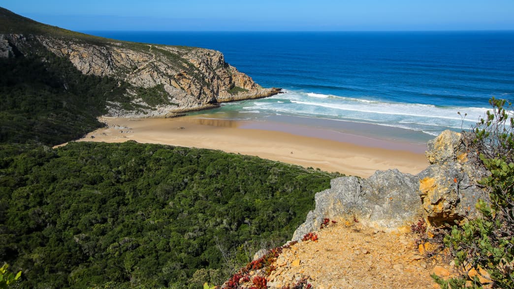 Strand auf der Garden Route im Tsitsikamma National Park in Südafrika