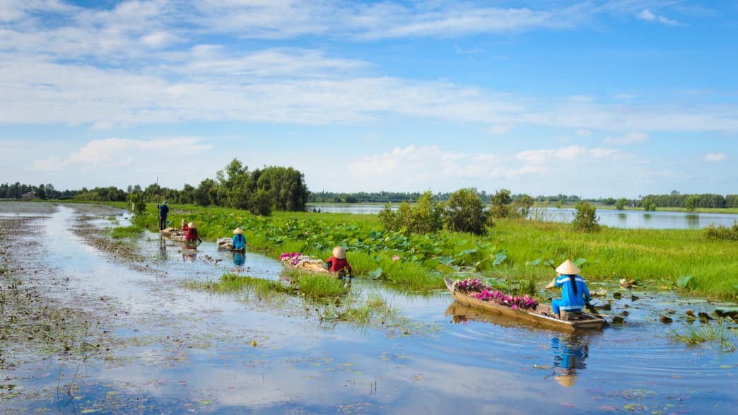 Mekong Delta in Vietnam