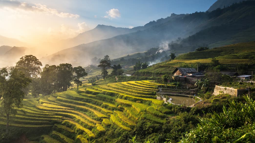 Reisfelder in Sapa in Vietnam